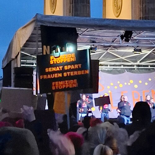 Plakat "Femizide stoppen! Senat spart - Frauen sterben"